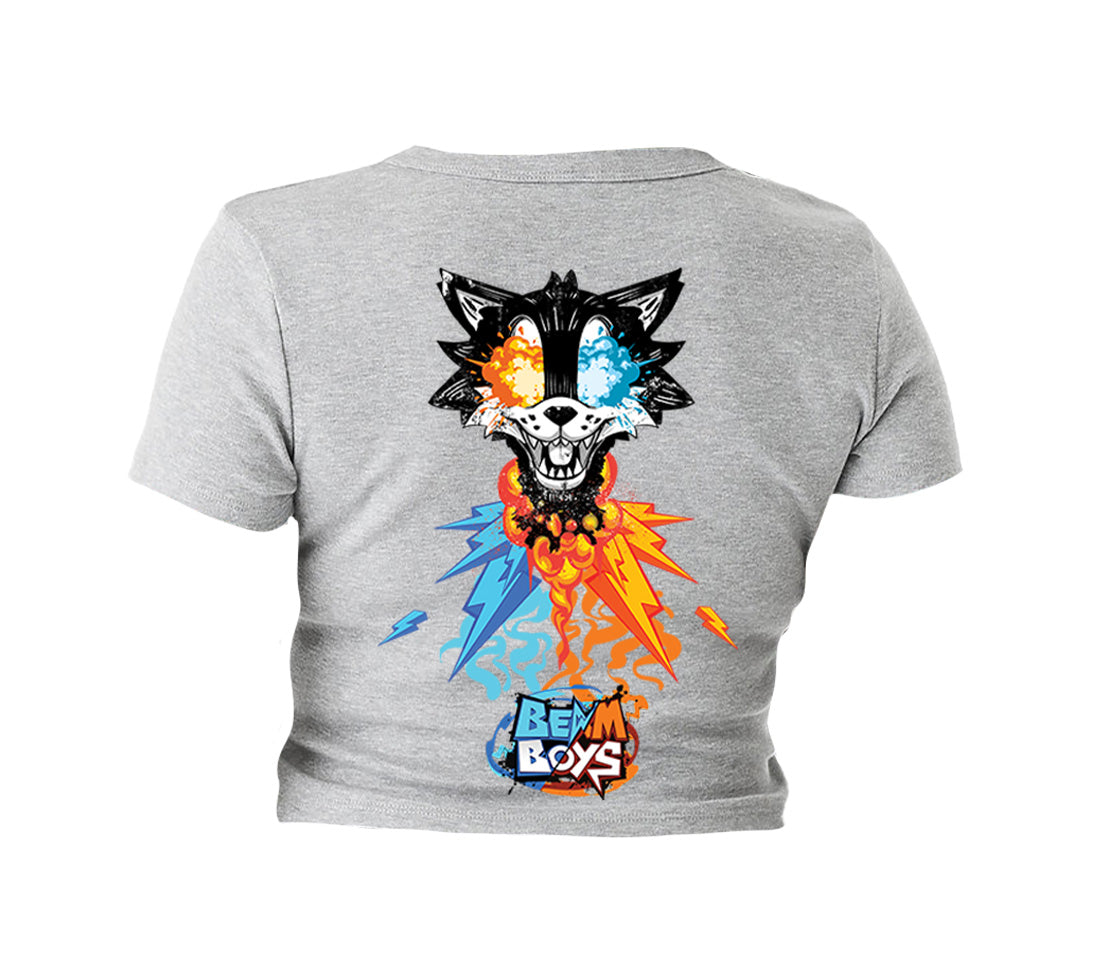Ladies Micro Rib Baby Tees